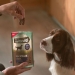 snack-perro-adventuros-mini-steaks-venado-purina-70-grs