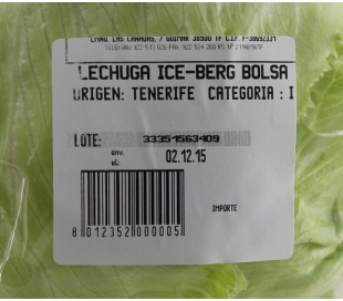 FRUTERIA LECHUGA ICEBERG * UNIDAD