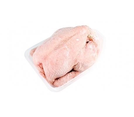 pollos-tipo13-congekgp