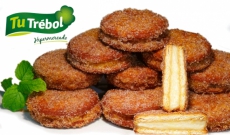 GALLETAS MARÍA CON CREMA PASTELERA