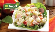 ENSALADA ALEMANA 