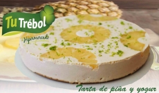 TARTA DE PIÑA Y YOGUR