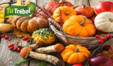 Alimentos de temporada