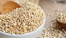Quinoa