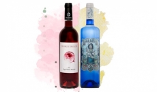 Vinos Vega Norte de La Palma